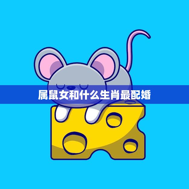 属鼠女和什么生肖最配婚(完美配对指南)