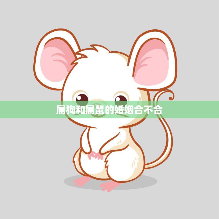 属狗和属鼠的婚姻合不合(星座配对分析)