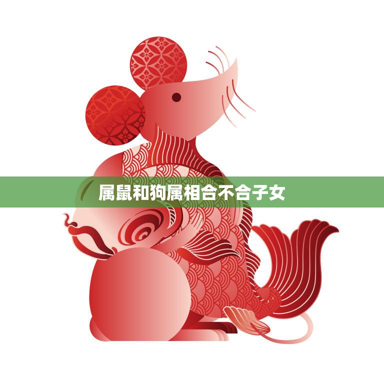 属鼠和狗属相合不合子女(你的疑惑我来解答)