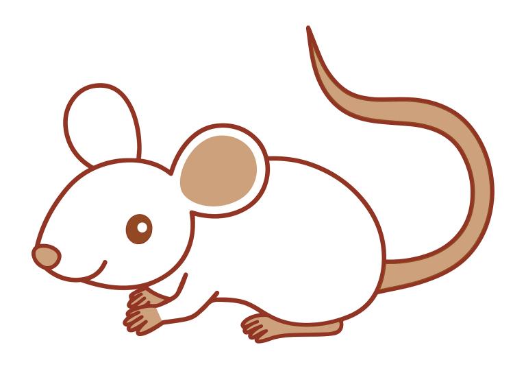 属鼠的和什么属相最合适(如何选择最佳配偶)