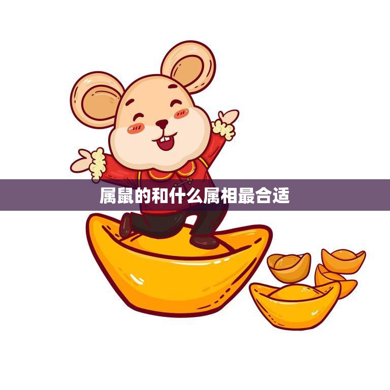 属鼠的和什么属相最合适(如何选择最佳配偶)