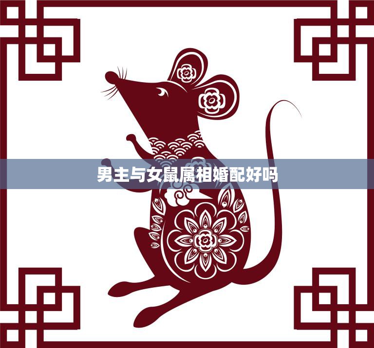 男主与女鼠属相婚配好吗(解析星座学家告诉你)