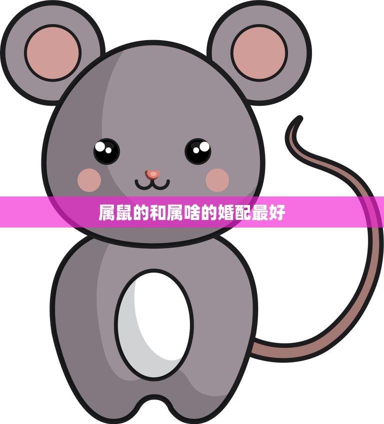 属鼠的和属啥的婚配最好(如何选择最佳婚姻伴侣)