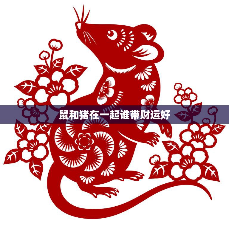 鼠和猪在一起谁带财运好(财运拼)