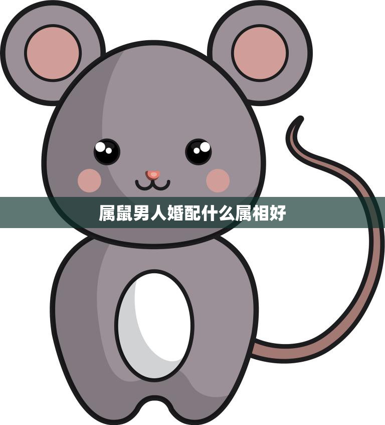 属鼠男人婚配什么属相好(如何选择最佳婚姻对象)