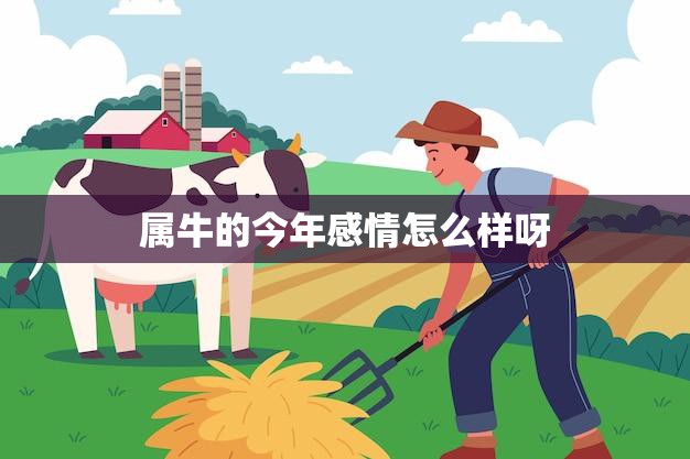 属牛的今年感情怎么样呀(2023年爱情运势大揭秘)