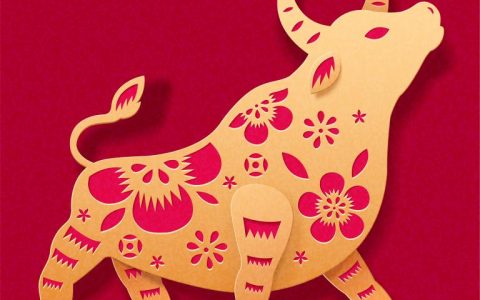 属牛73年出生今年多大(如何计算属牛人的年龄)