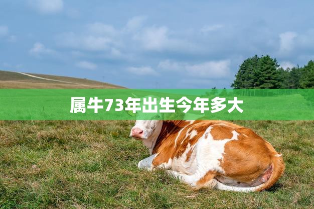 属牛73年出生今年多大(如何计算属牛人的年龄)