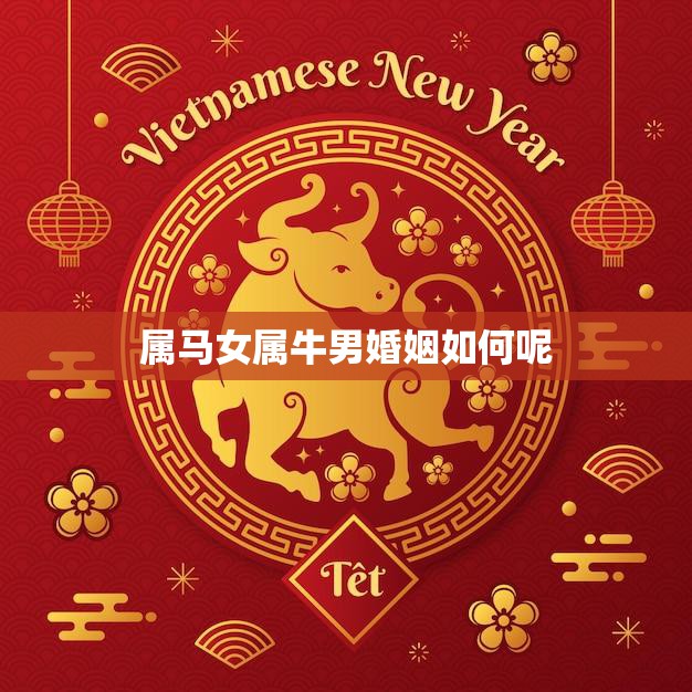 属马女属牛男婚姻如何呢(幸福还是磨合不易)