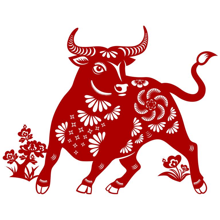 属牛今年15岁运势如何(牛转乾坤好运连连)