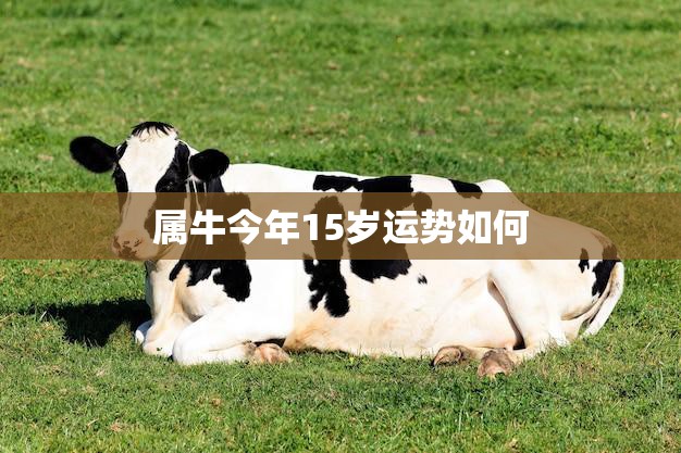 属牛今年15岁运势如何(牛转乾坤好运连连)