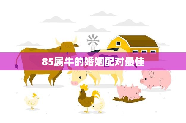 85属牛的婚姻配对最佳(如何选择最适合你的伴侣)