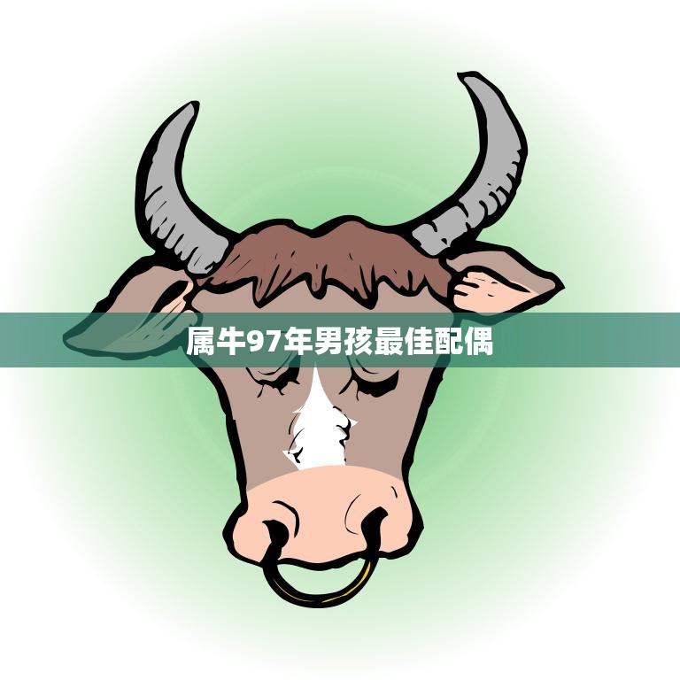 属牛97年男孩最佳配偶(如何找到最适合你的另一半)