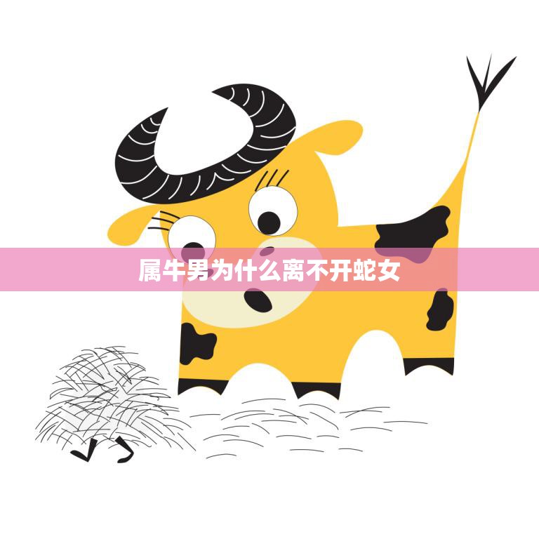 属牛男为什么离不开蛇女(解密牛蛇恋情的奥秘)