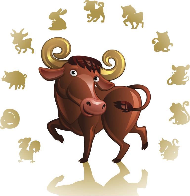 男牛女马适合做夫妻吗0(星座专家揭秘这对组合的爱情运势如何)