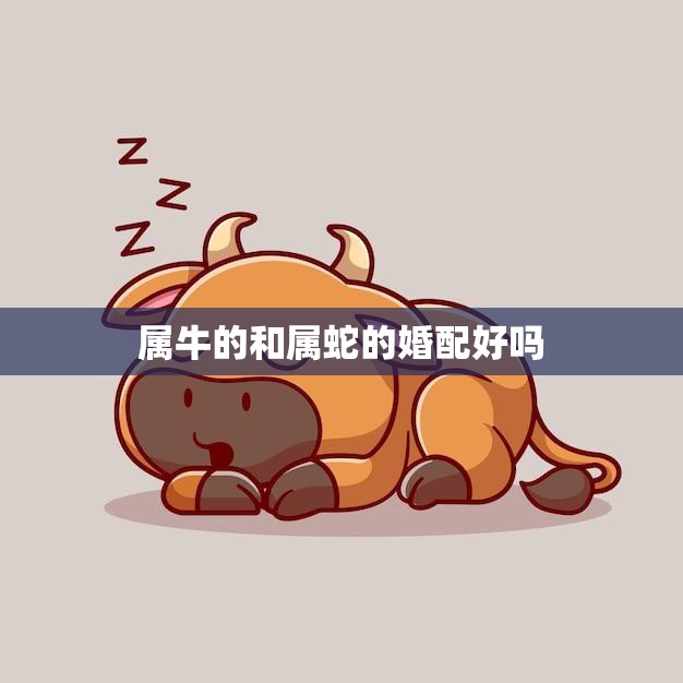属牛的和属蛇的婚配好吗(探究星座配对的真相)