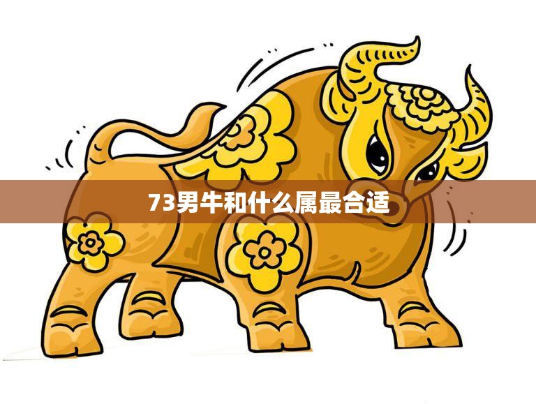73男牛和什么属最合适(如何选择最佳配对)
