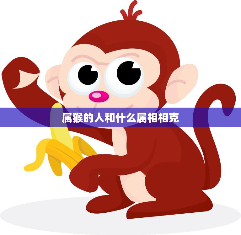 属猴的人和什么属相相克(命理学解析猴与这些属相不合拍)