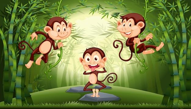 92年属猴女2023年(未来三年运势展望)