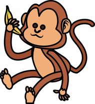 属猴子的都是哪年出生的(猴年生肖解析)