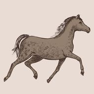 2029年属马的多少岁(马年人迎来60岁大寿)