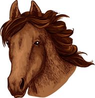 属马的和什么属相合作好(顺风顺水事半功倍)