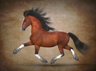 属马和什么属相最配婚姻(如何选择最佳配偶)