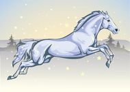 2023年属马女怎么样(马上飞奔向成功)