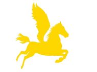 2023年马人全年运势(马上飞奔好运接踵而至)