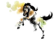 2023年属马女怎么样(运势大揭秘)