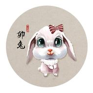 23年兔子取名宜用的字(如何选择兔年宝宝名字指南)