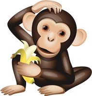 属猴女取名适合用什么字(如何为你的小公主取一个好听的名字)