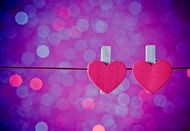 眼里只有对方的生肖配对(真爱无需多言)