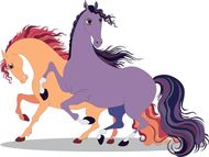 为什么不能娶属马的女人(解析属马女性的性格特点和婚姻观念)