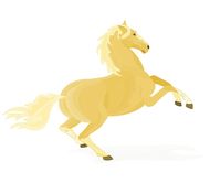 54年属马的能活多少岁(马儿飞奔寿命长短由自己)