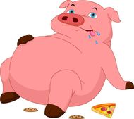 71属什么的今年多少岁(解密探寻属猪人的神秘性格与命运)