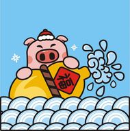 1972属猪的人多大年龄(如今已经是中年人了)