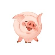 属猪的和什么生肖相冲相克(如何化解)