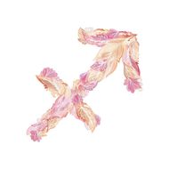 射手座男与什么星座女最配(星座大揭秘最佳配对女性)