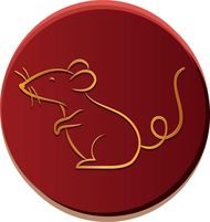 男属鼠的和女属蛇的配吗(八字合不合)