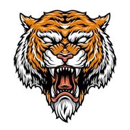 98年属虎今年财运如何(猛虎发财财源滚滚来)