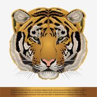 2023虎年运势及运程(顺风顺水财源滚滚事业爆发)