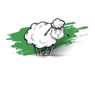 属羊的今日财运好不好运(财富运势如何)