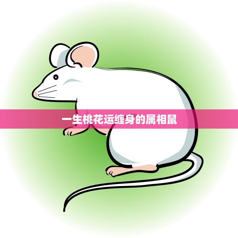 一生桃花运缠身的属相鼠(爱情路上如何把握机会)