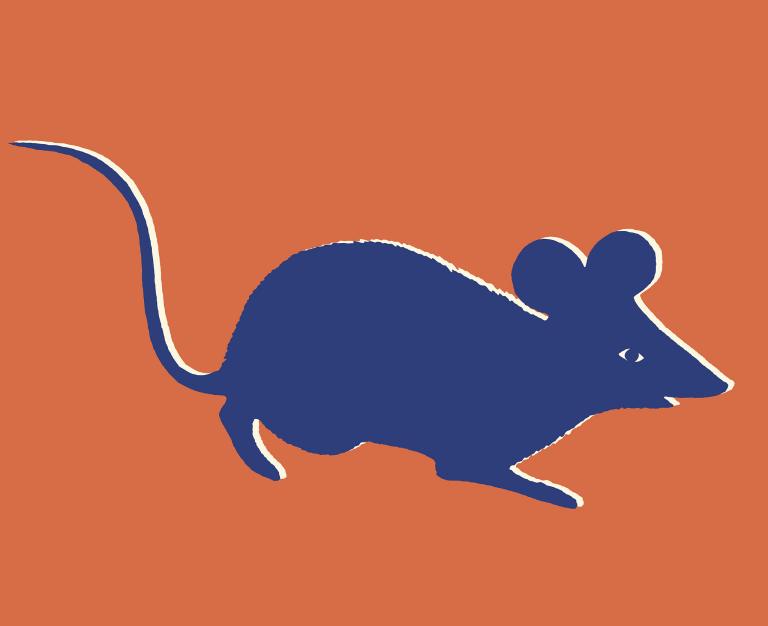 属鼠2023年结婚吉日(如何选择最佳结婚日期)