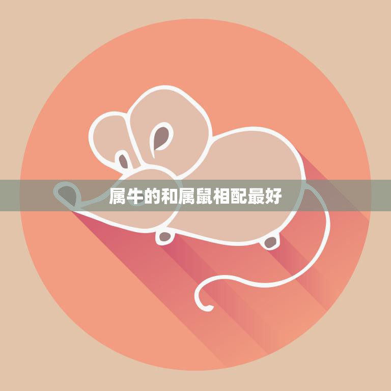 属牛的和属鼠相配最好(解读属相配对的奥秘)
