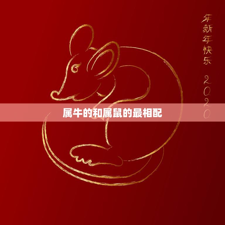 属牛的和属鼠的最相配(解读十二生肖中最佳配对)