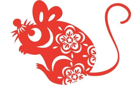 属鼠是哪年出生的什么命(解析十二生肖属鼠的命运)