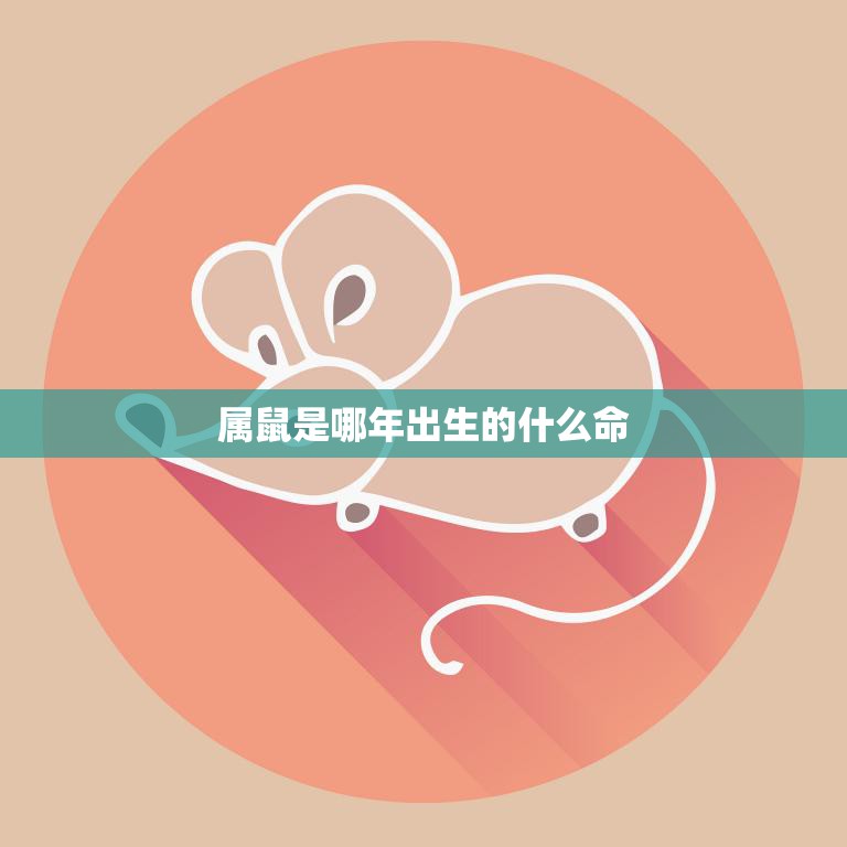 属鼠是哪年出生的什么命(解析十二生肖属鼠的命运)