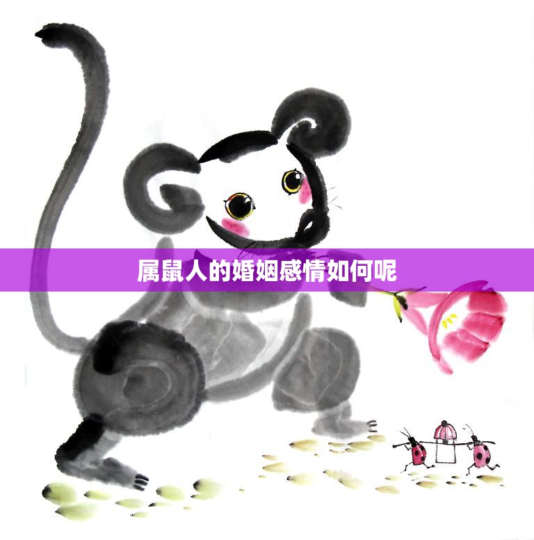 属鼠人的婚姻感情如何呢(探究属鼠人的婚姻观与情感表达方式)